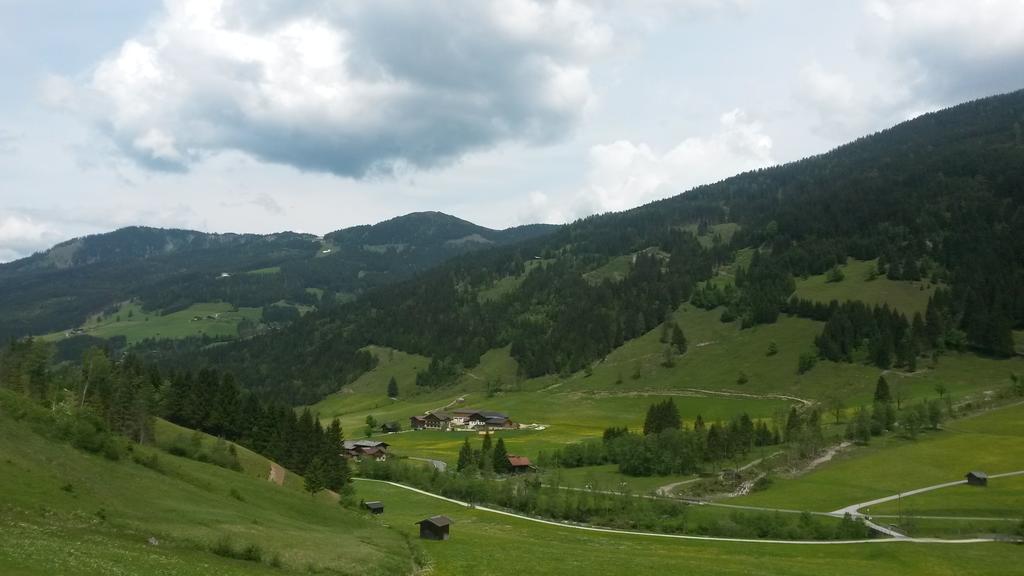 Haus Viehhauser Kleinarl Bagian luar foto