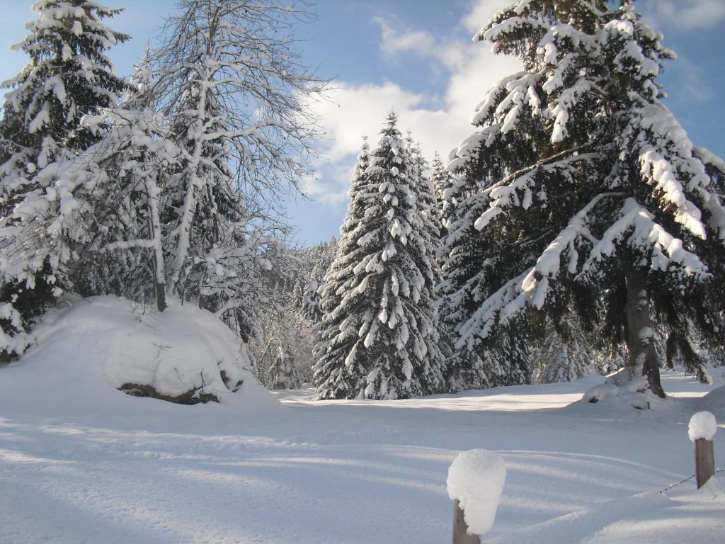 Haus Viehhauser Kleinarl Bagian luar foto