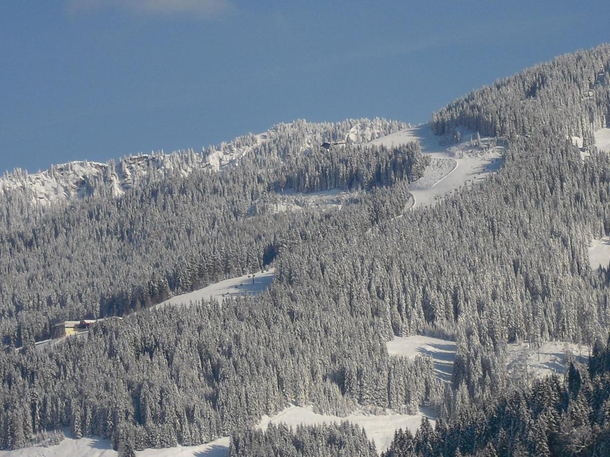 Haus Viehhauser Kleinarl Bagian luar foto